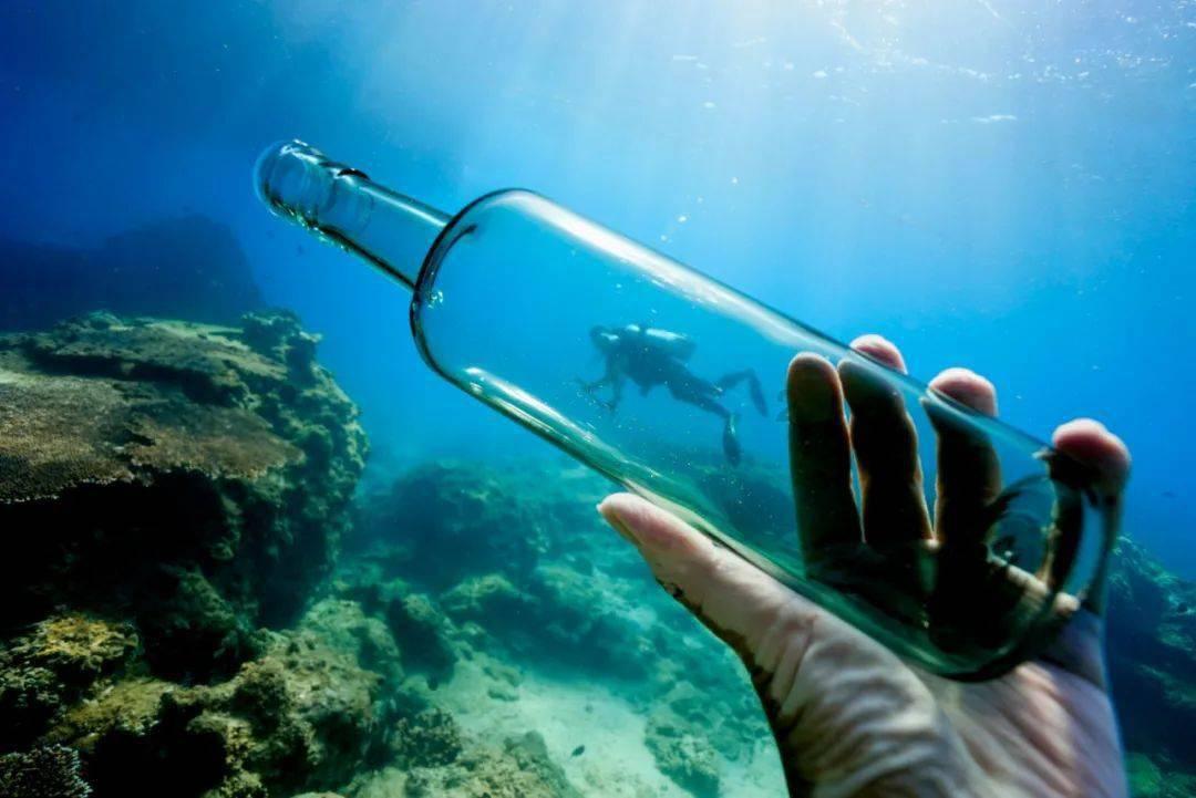 有趣的动物拼图